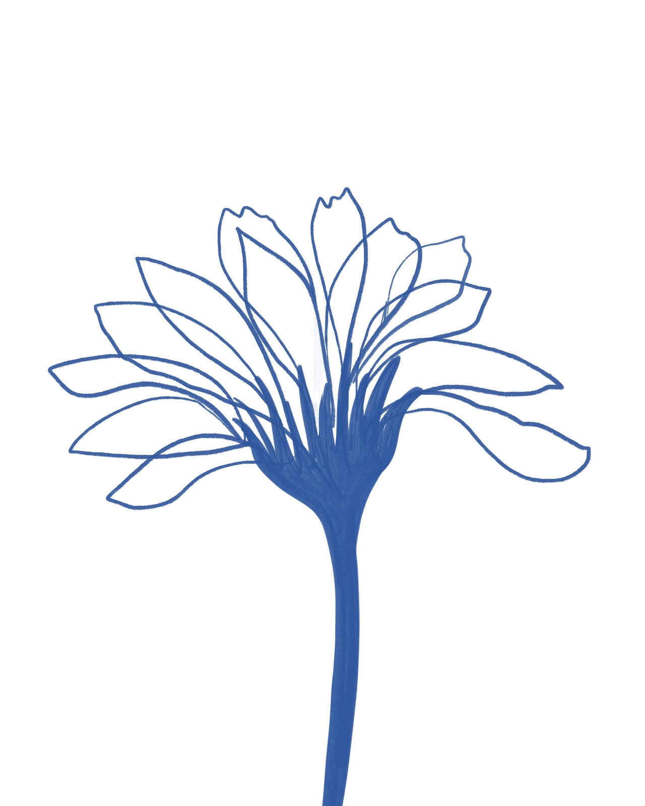 Minimalist Blue Floral Outline Wall Art