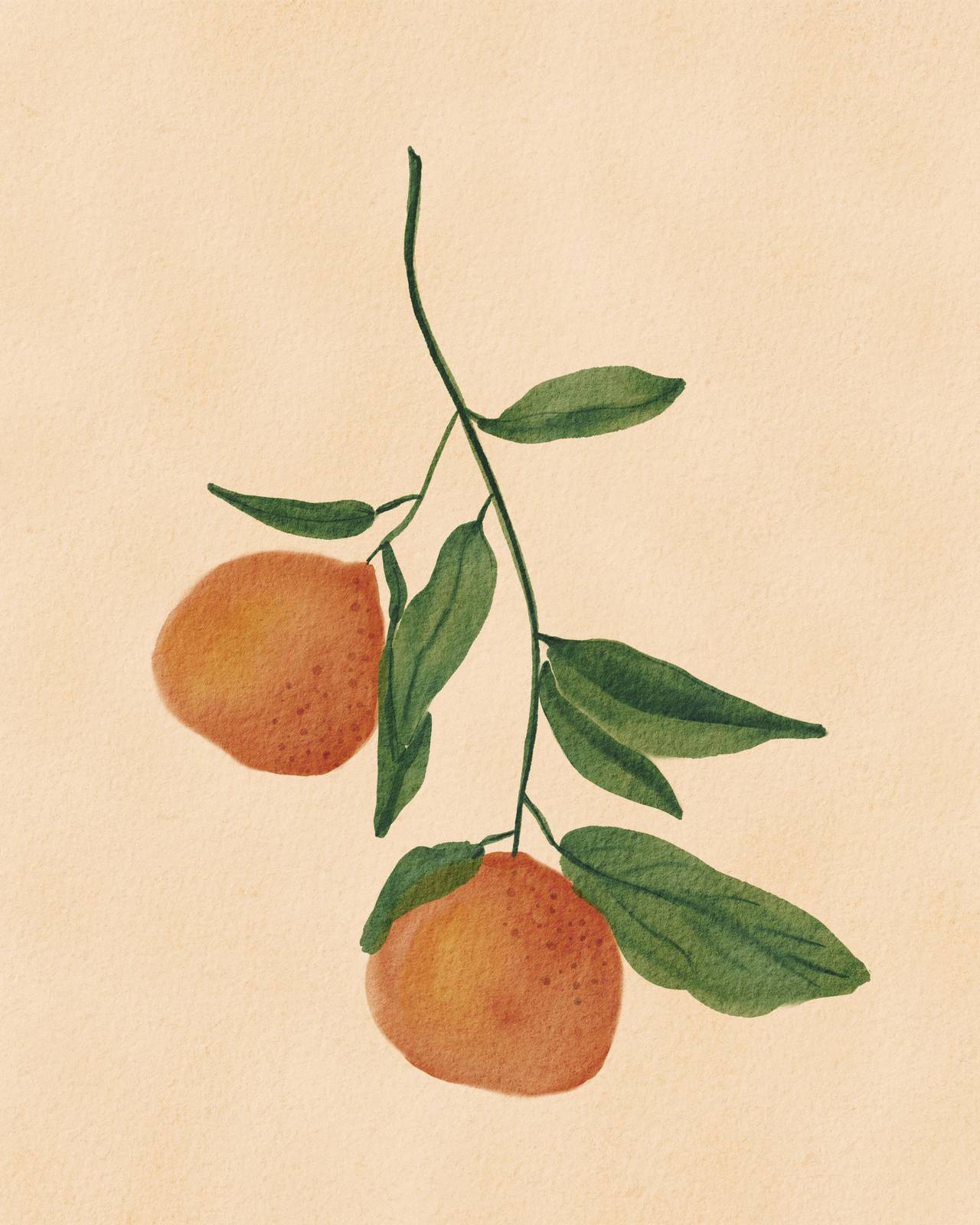 Orange Blossom Botanical Watercolor Wall Art