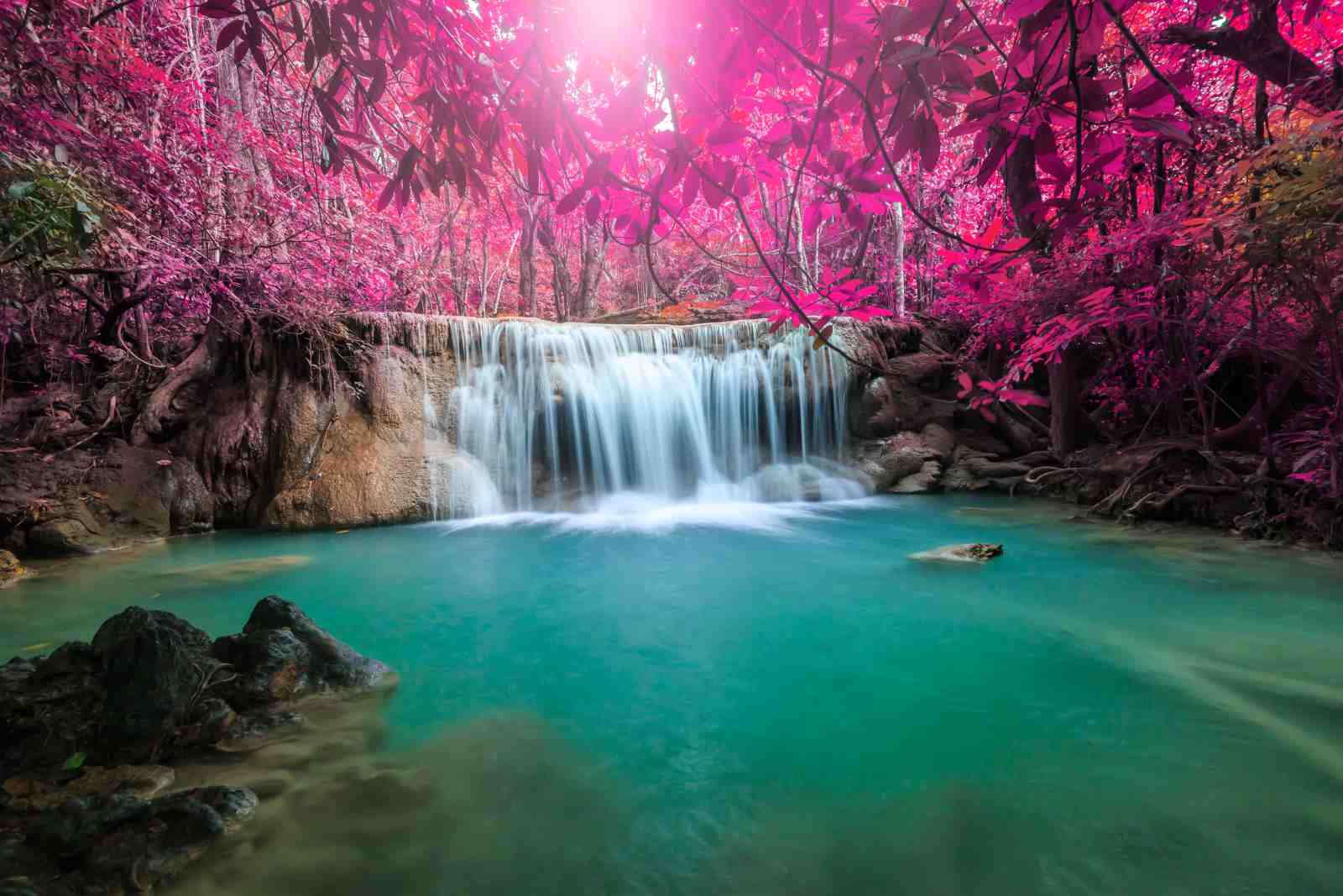 Enchanting Pink Forest Waterfall Wall Art