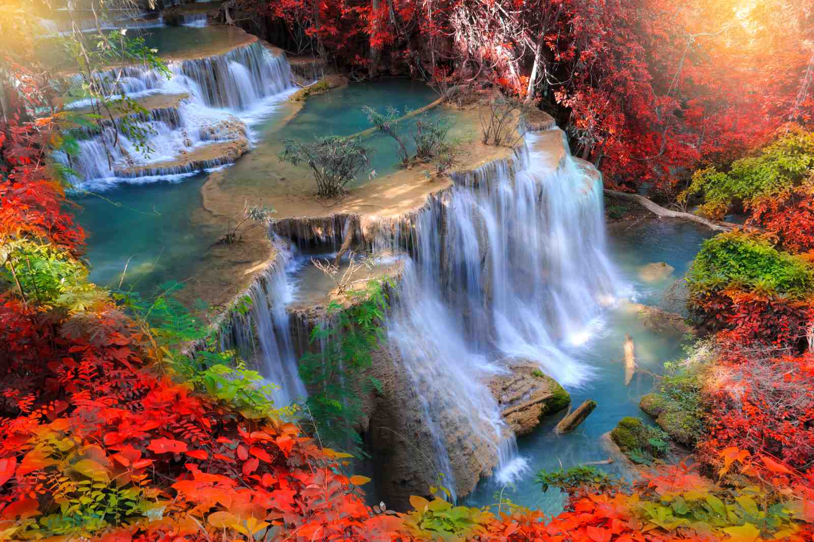 Serene Waterfall & Autumn Foliage Wall Art