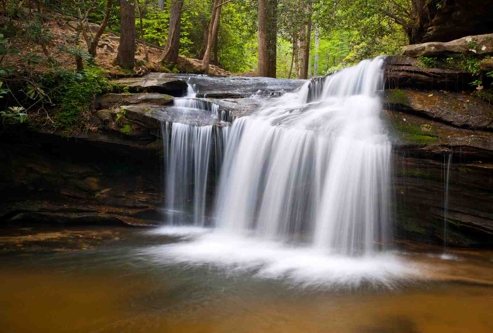 Serene Forest Waterfall Wall Art
