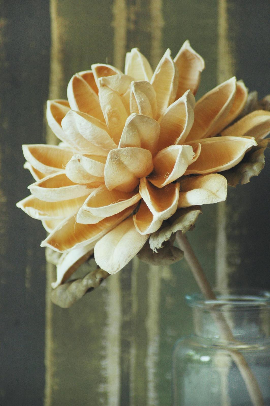 Golden Petal Bloom Still Life Wall Art