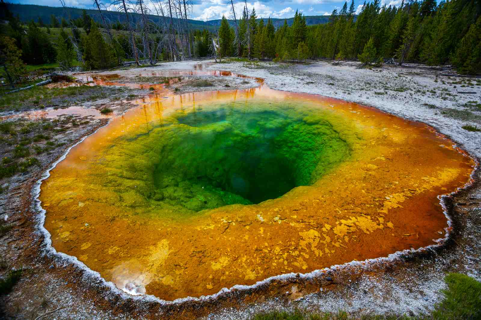 Vibrant Morning Glory Pool Yellowstone Wall Art