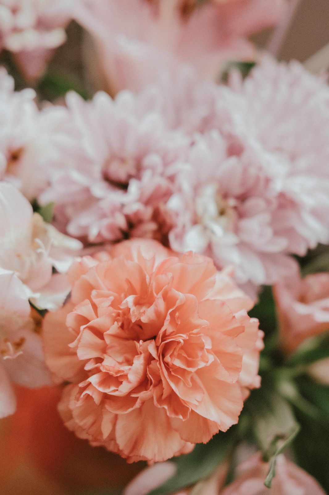 Soft Peach & Pink Floral Dream Wall Art