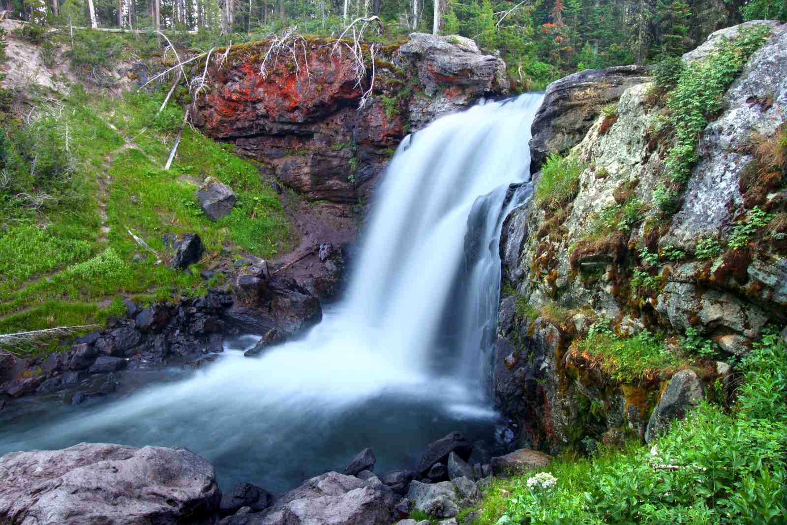 Serene Forest Waterfall Landscape Wall Art