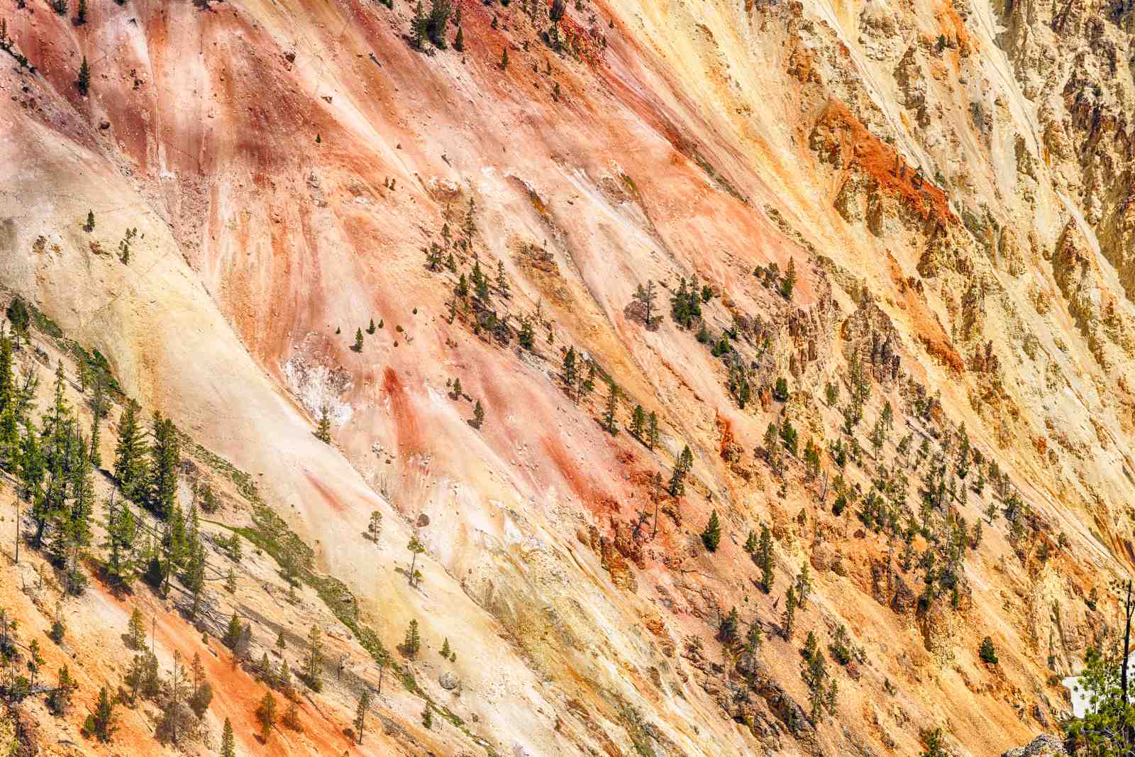 Vibrant Canyon Landscape Wall Art