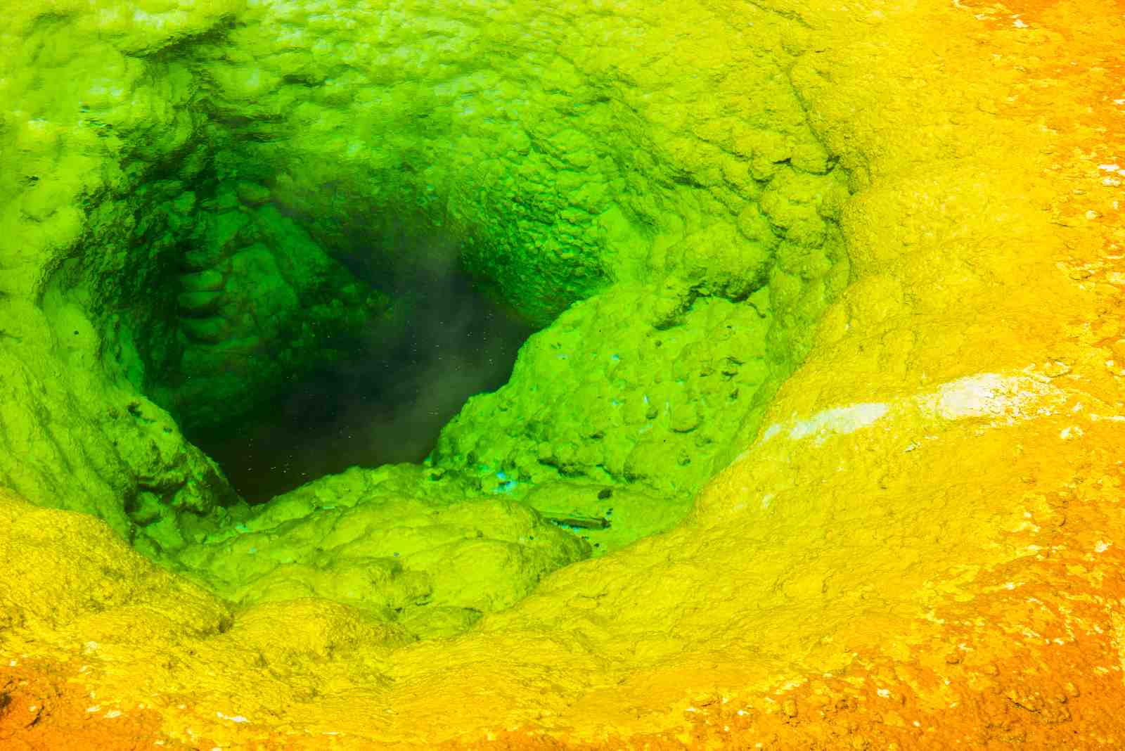 Vibrant Hot Spring Abstract Wall Art
