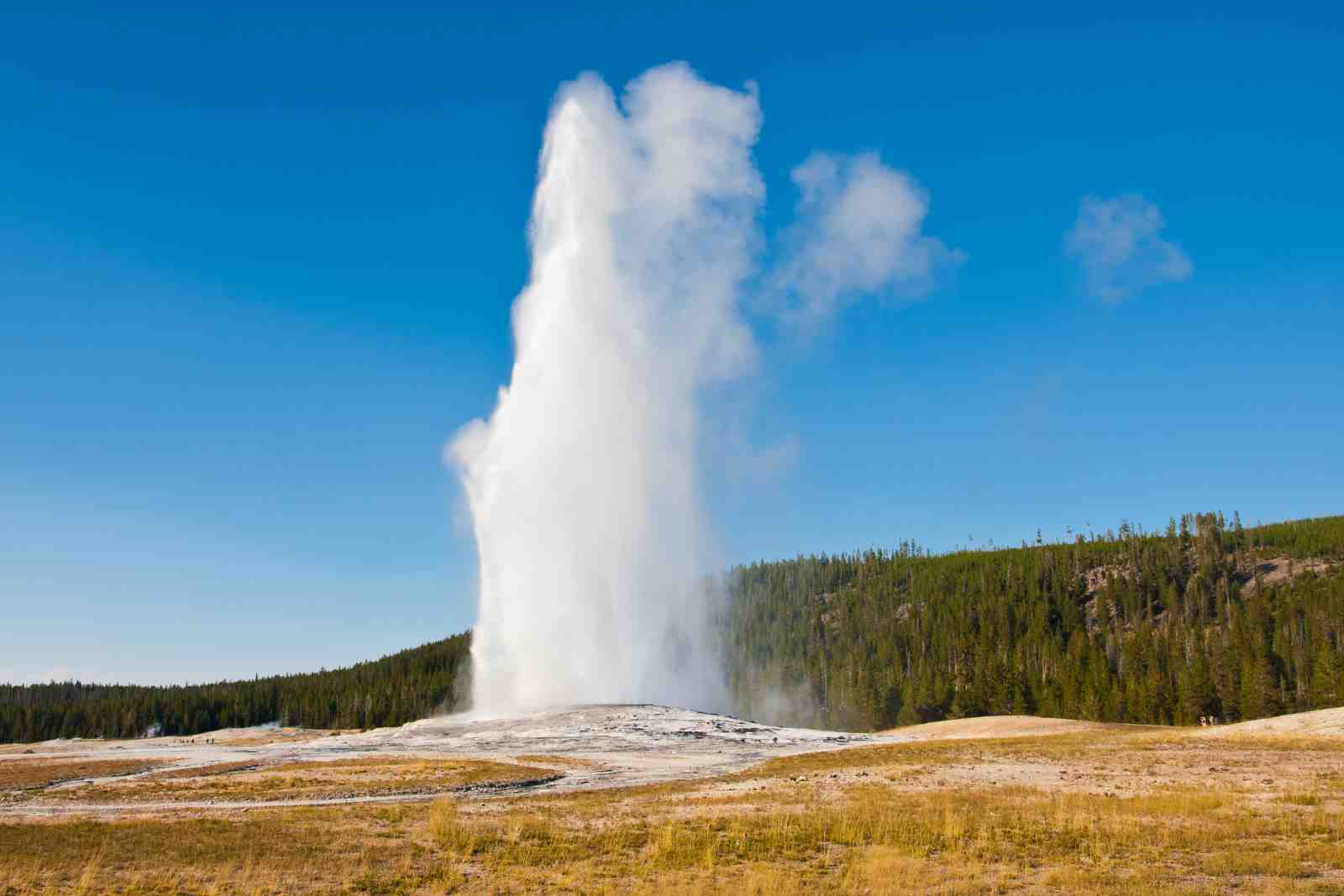 Yellowstone Geyser Majestic Power Wall Art