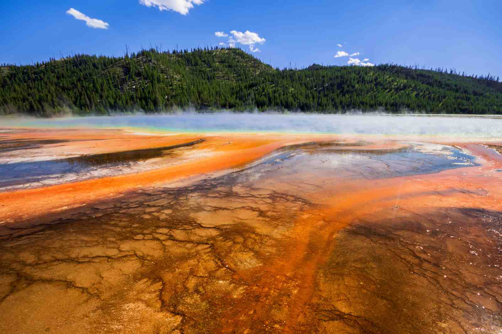 Vibrant Grand Prismatic Spring Wall Art