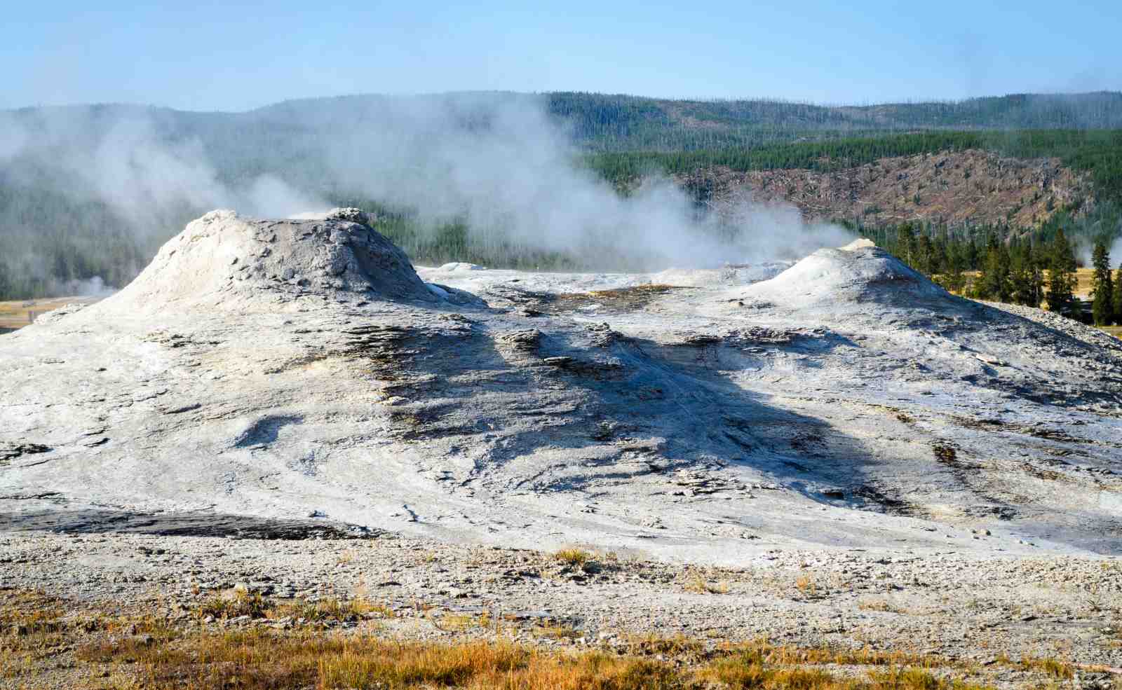Yellowstone Geyser Landscape Wall Art