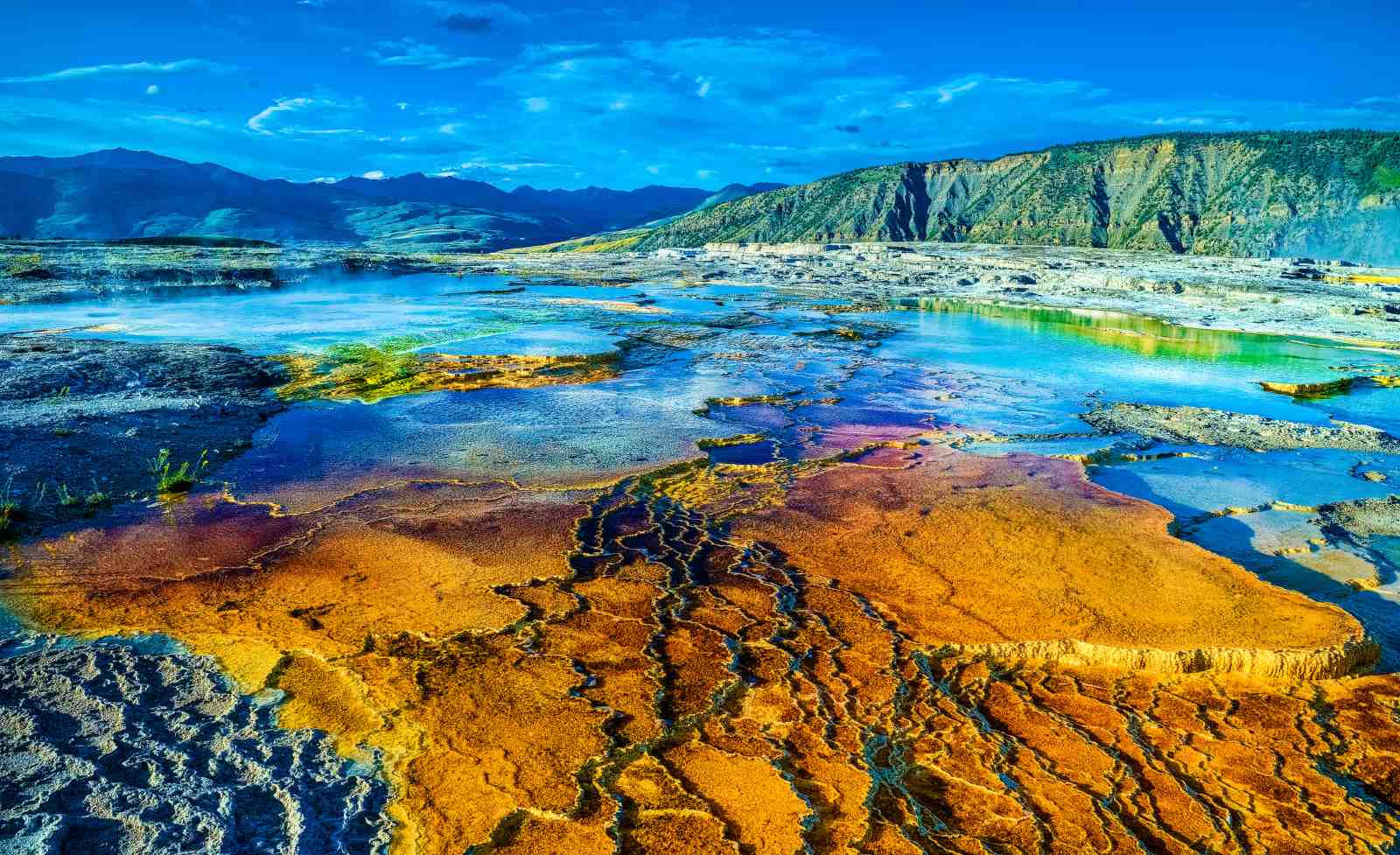 Vibrant Yellowstone Terraces Wall Art