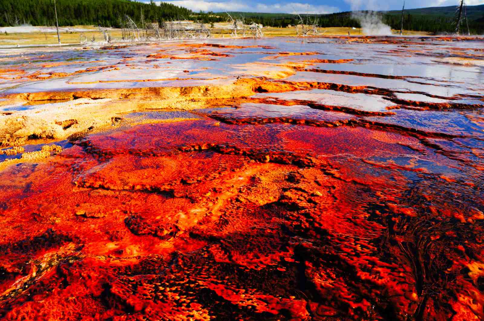 Vibrant Thermal Pool Landscape Wall Art