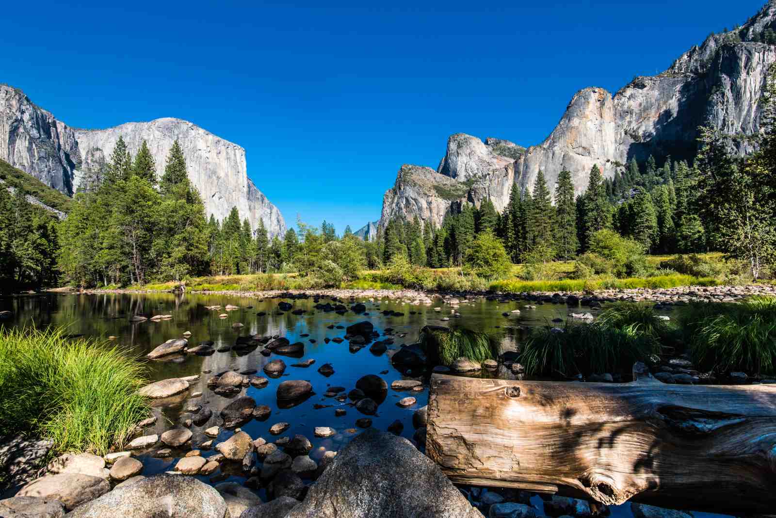 Yosemite Valley Serenity Landscape Wall Art
