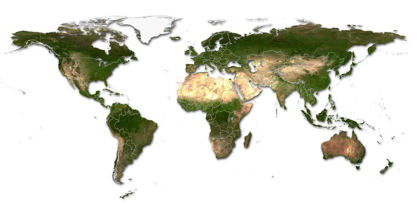 Earth Satellite World Map Wall Art