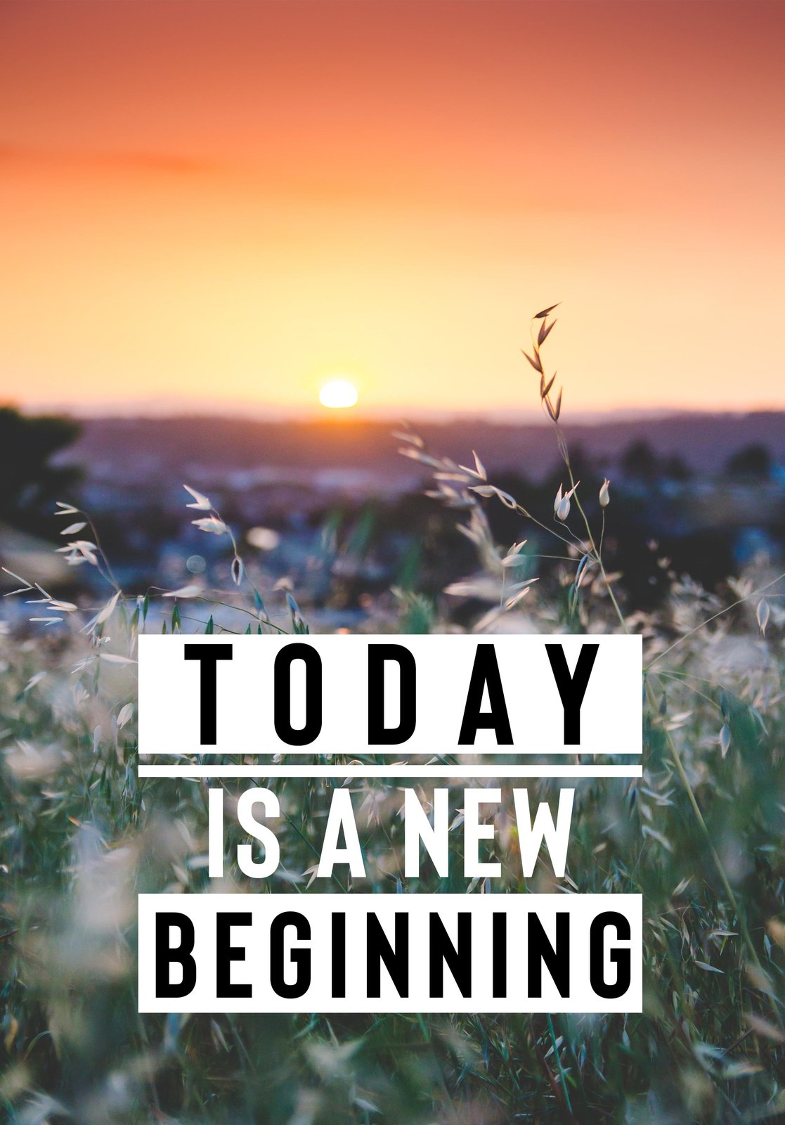 Inspirational Sunset "New Beginning" Wall Art