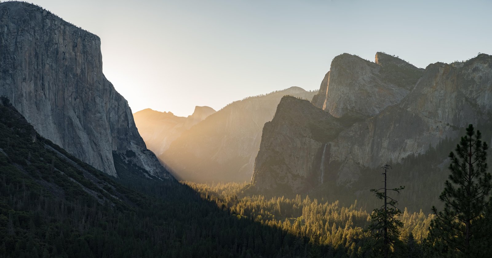 Golden Yosemite Valley Landscape Wall Art