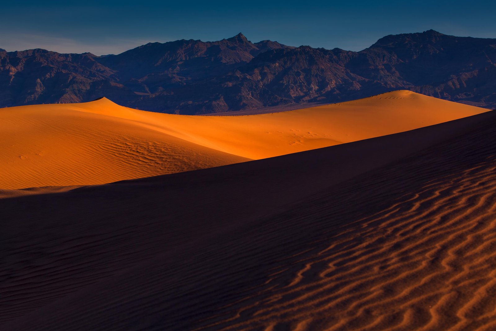 Golden Desert Dunes Wall Art