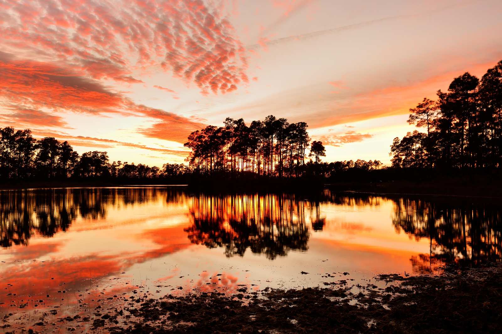 Serene Sunset Lake Trees Wall Art