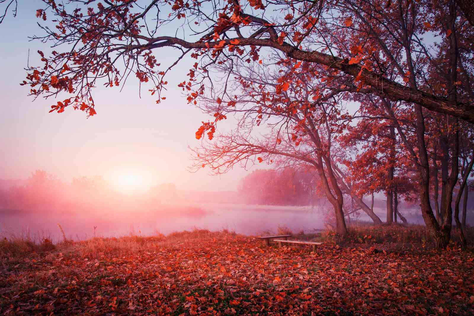 Misty Autumn Sunrise Serenity Wall Art
