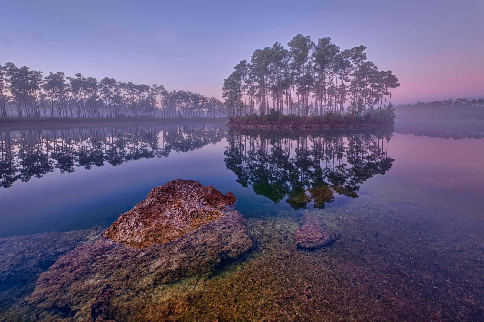 Serene Sunrise Forest Lake Wall Art