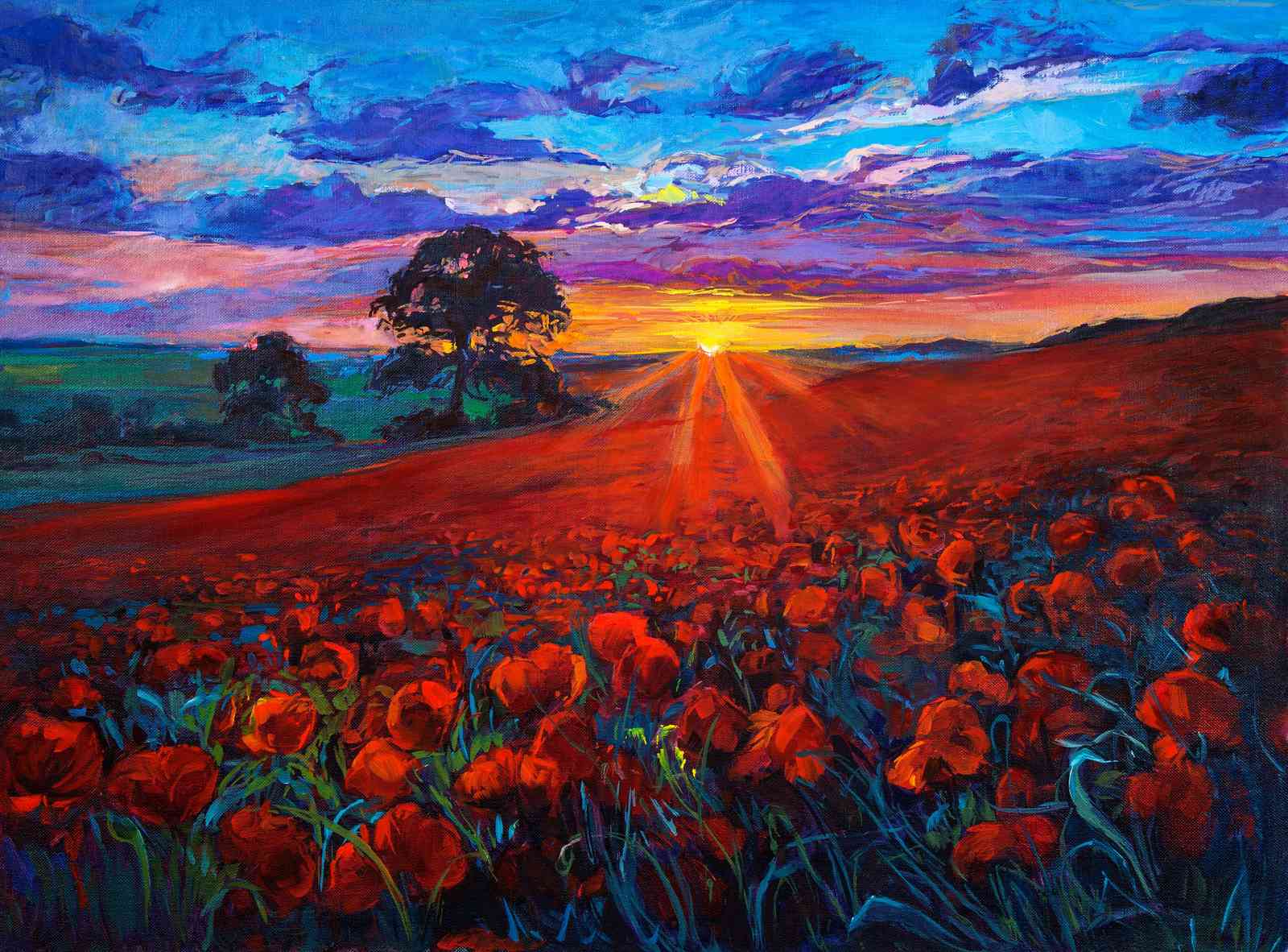 Vibrant Sunset Poppy Field Wall Art