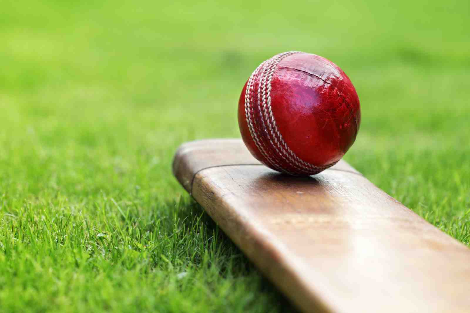 Vintage Cricket Ball & Bat Wall Art