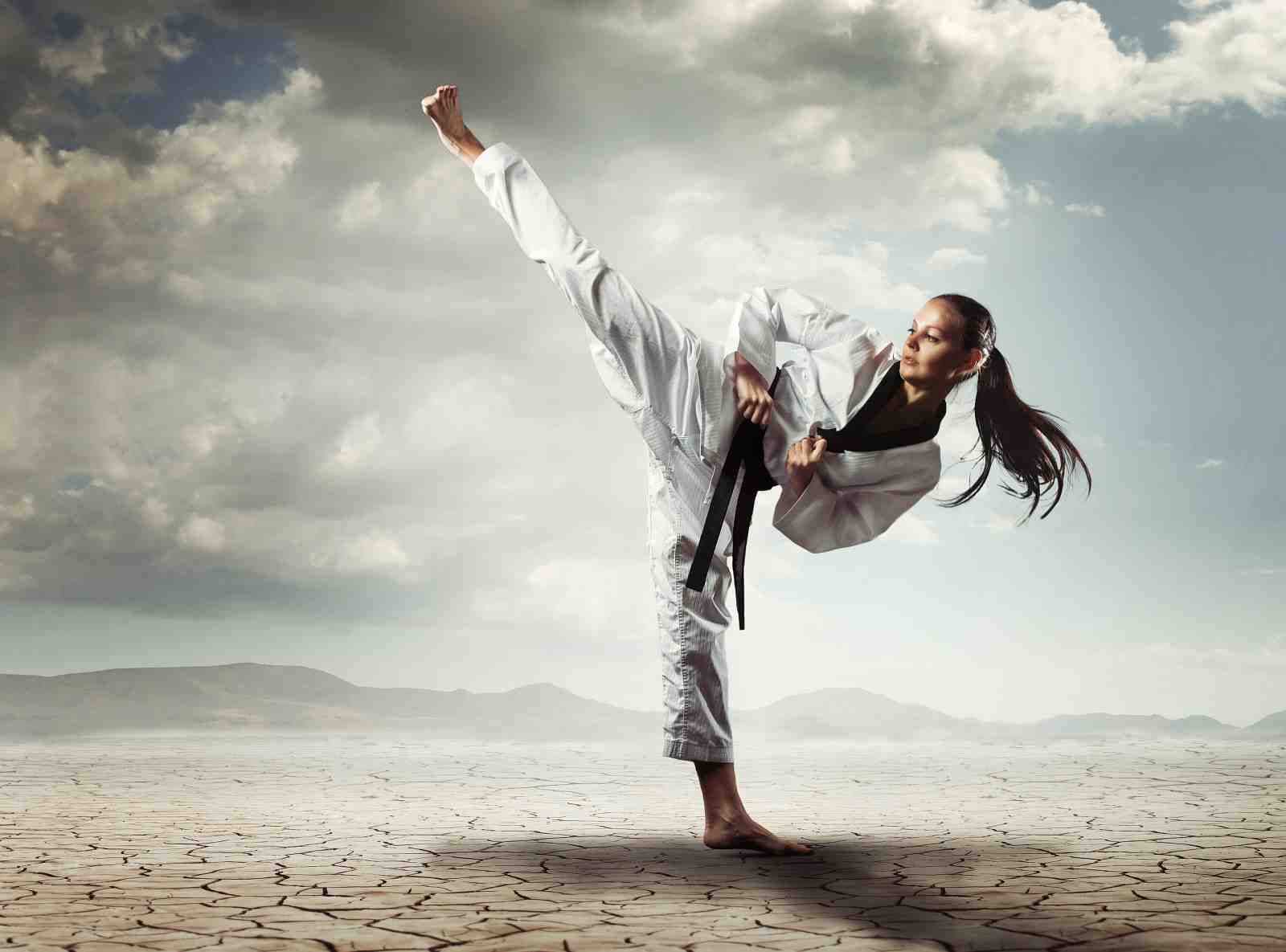 Martial Arts Power Kick Wall Art