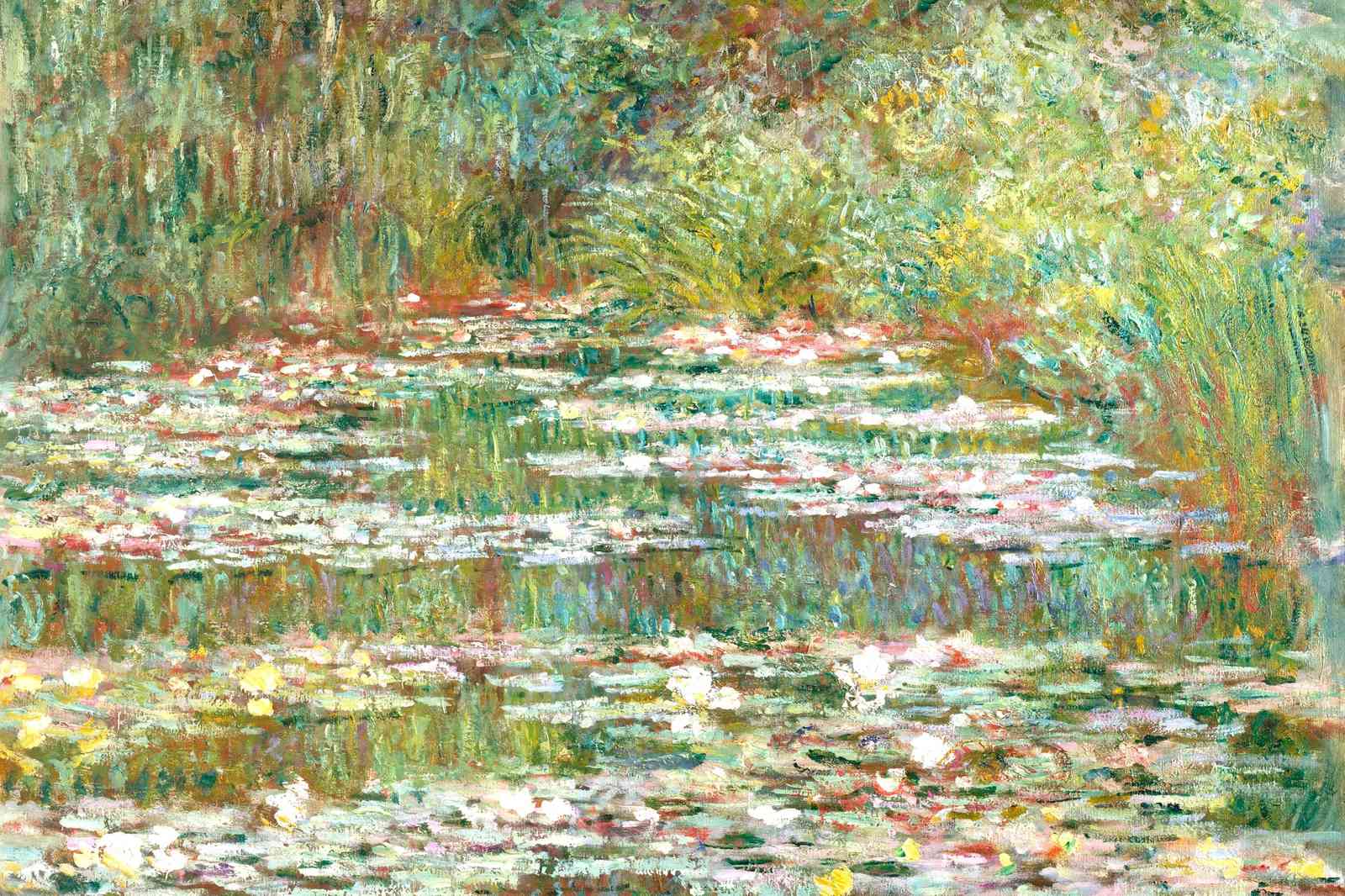 Serene Water Lilies Landscape Wall Art