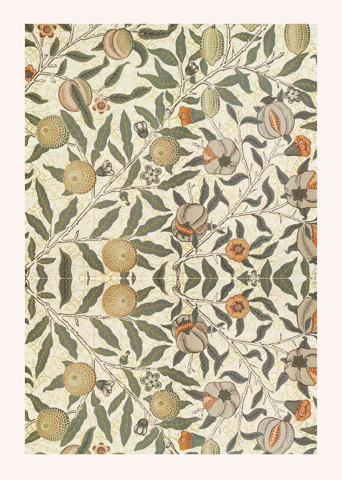 Vintage Botanical Pomegranate Wall Art Wall Art