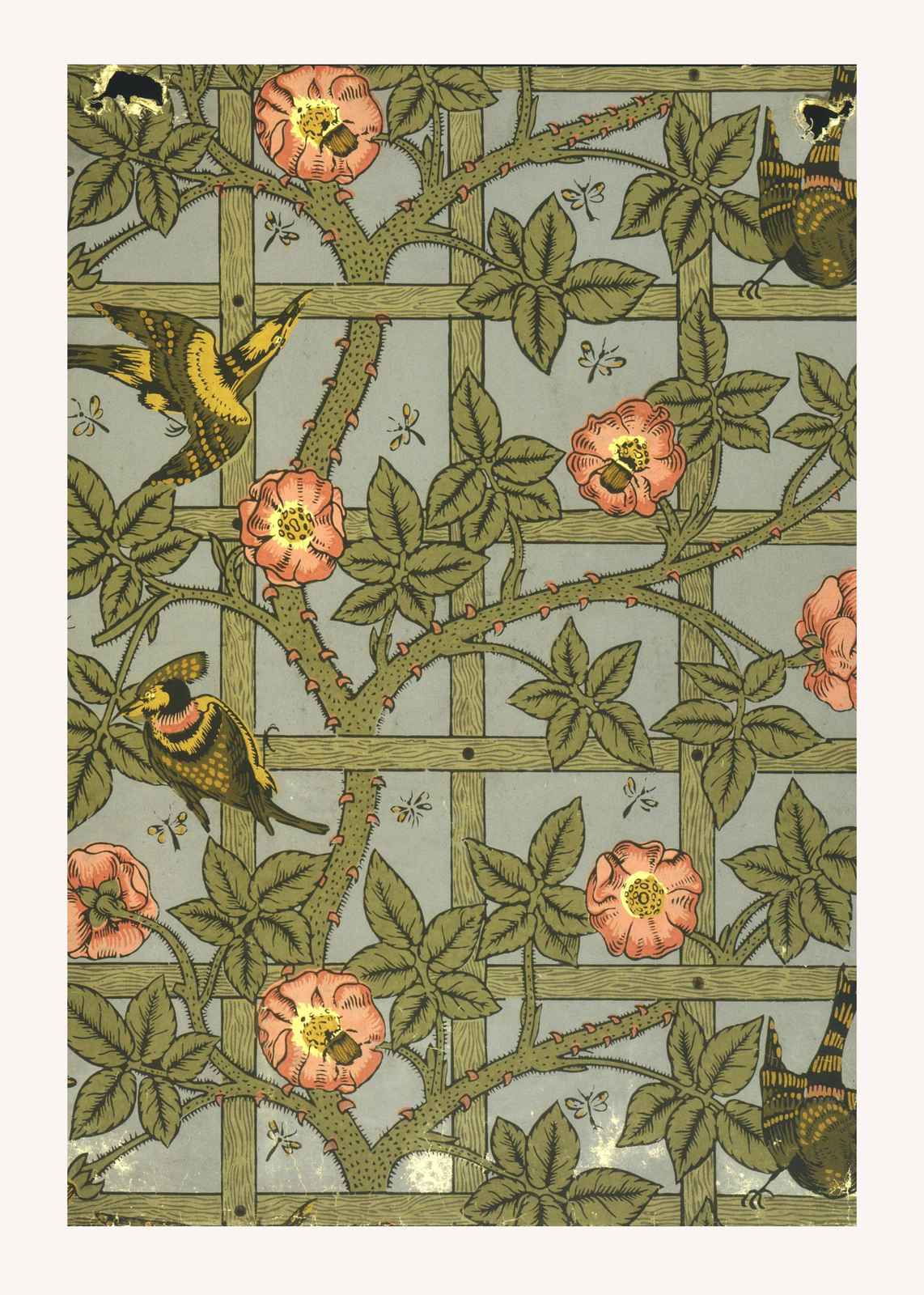 William Morris Bird & Rose Trellis Wall Art