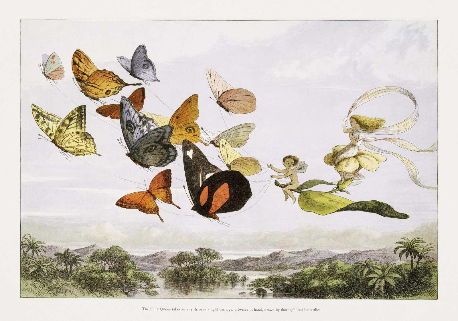 Enchanted Fairy Butterfly Carriage Wall Art