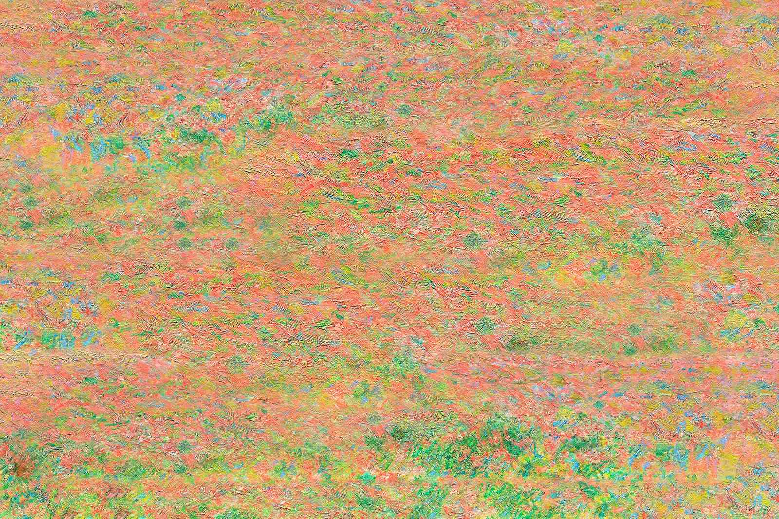Vibrant Impressionist Floral Field Wall Art