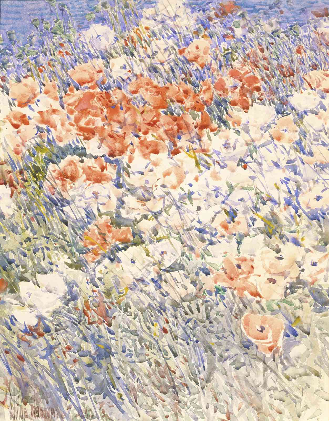 Vibrant Poppy Field Watercolor Wall Art