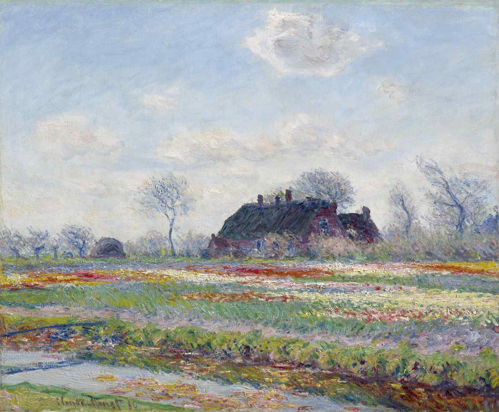 Impressionist Tulip Field Farmhouse Wall Art