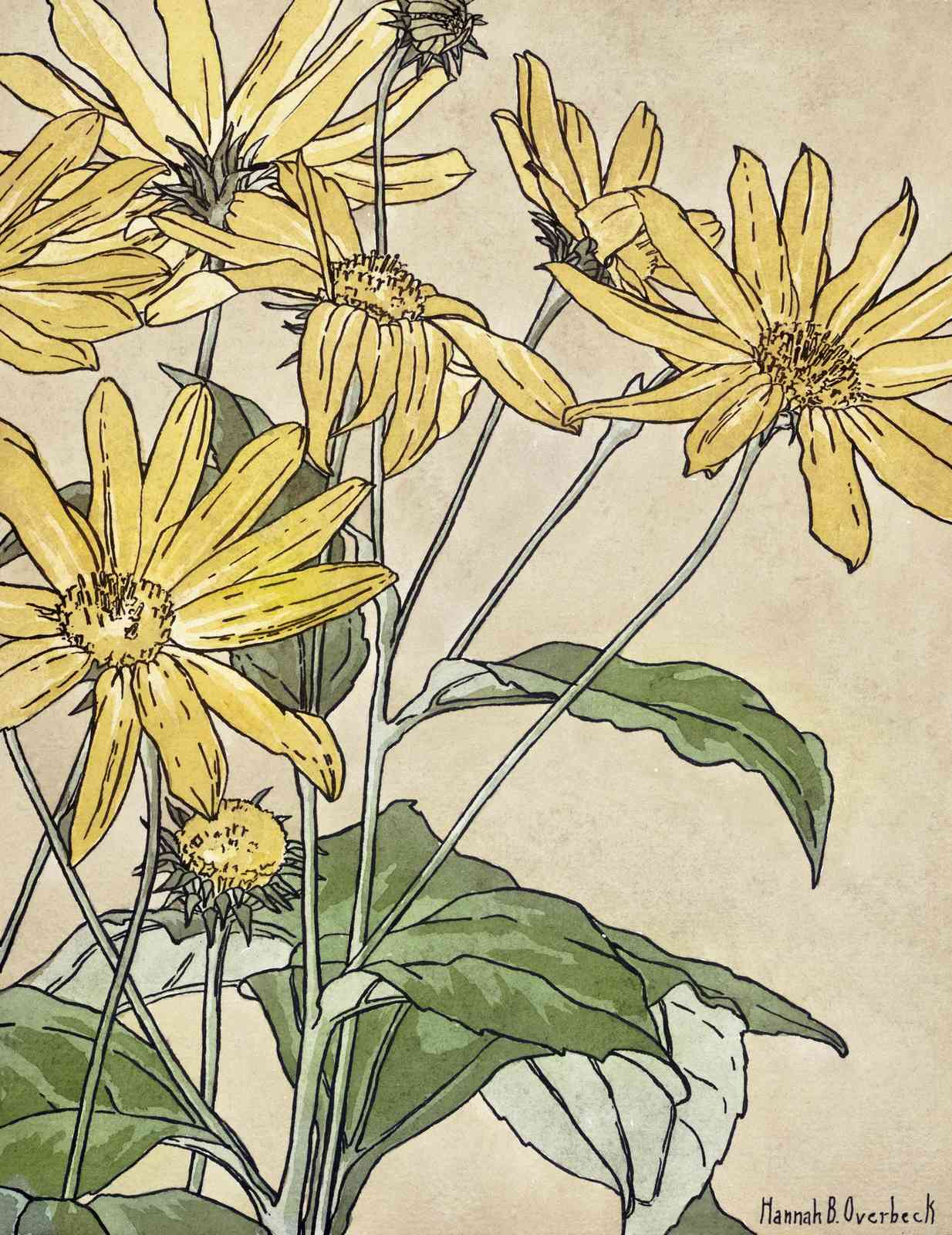 Vintage Yellow Floral "Summer Bloom" Wall Art