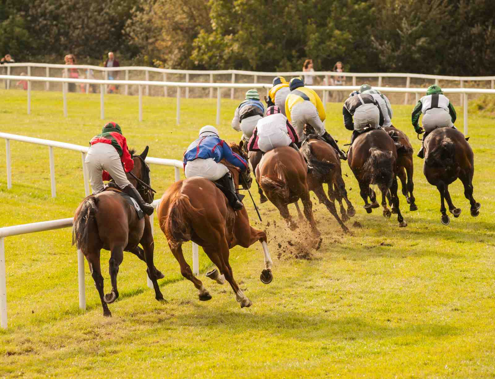 Thrilling Horse Race Action Wall Art