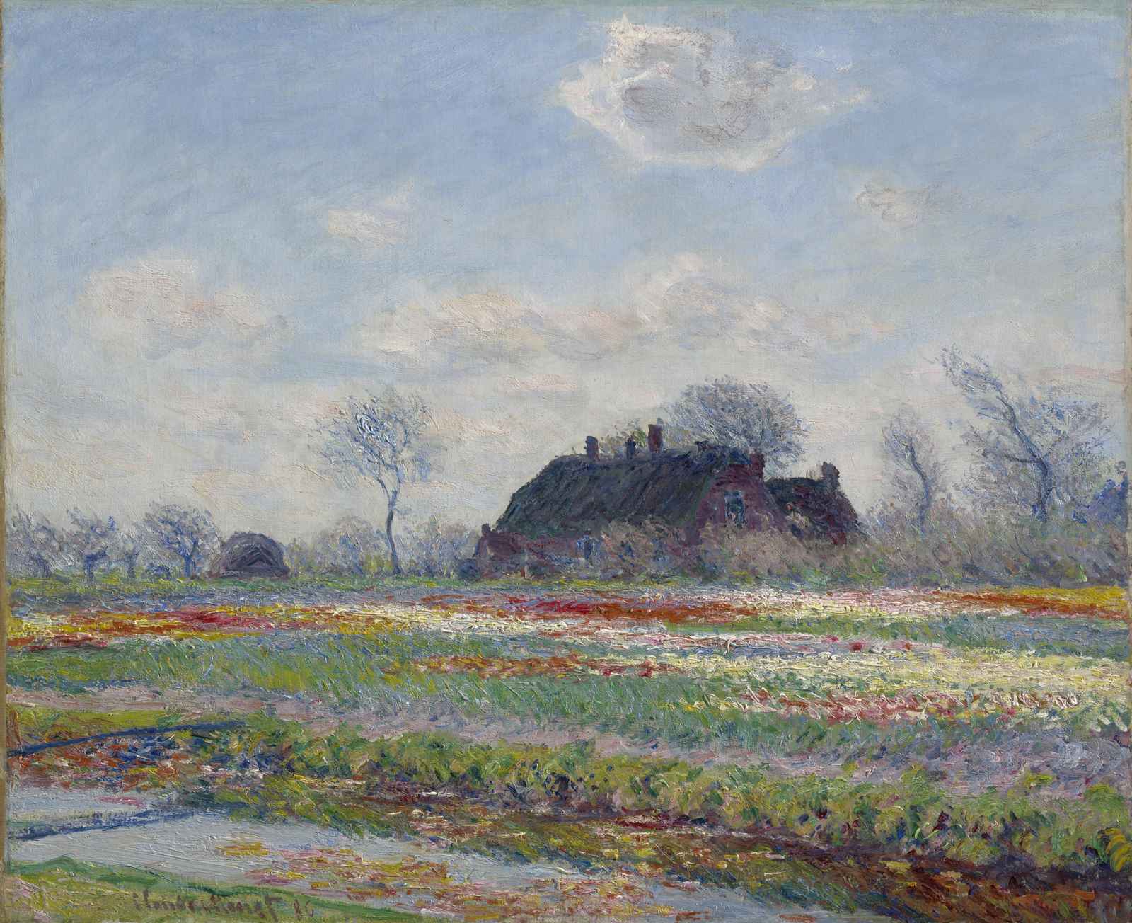Impressionist Tulip Field Cottage Wall Art