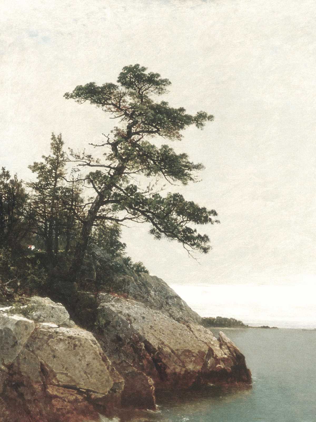 Serene Coastal Pine Wall Art Art