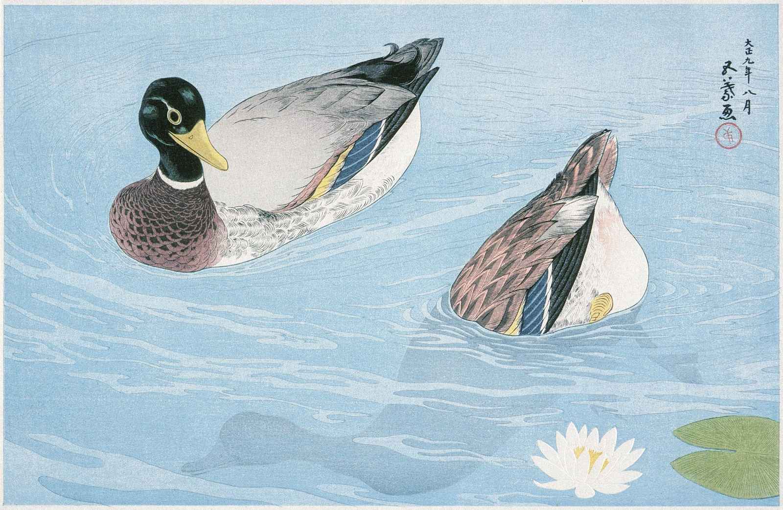 Tranquil Mallard Ducks Serene Pond Wall Art