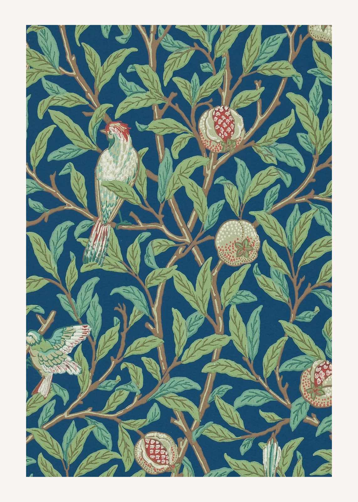 Vintage Bird & Pomegranate Art Wall Art