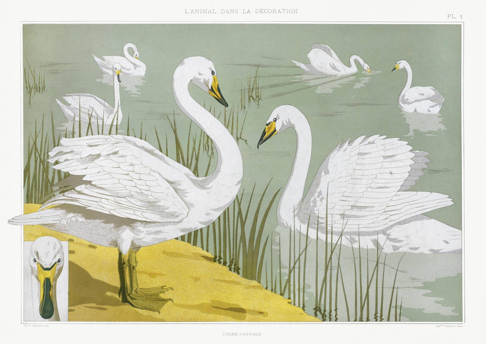 Elegant Swans Serene Lake Wall Art
