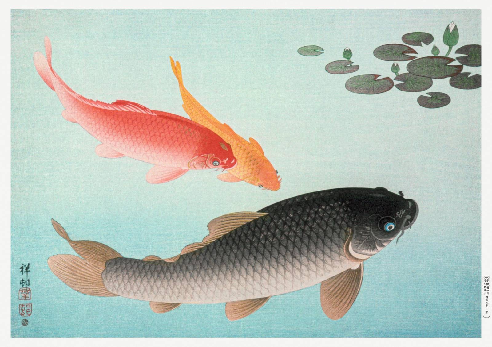 Koi Fish Serenity Japanese Art Wall Art