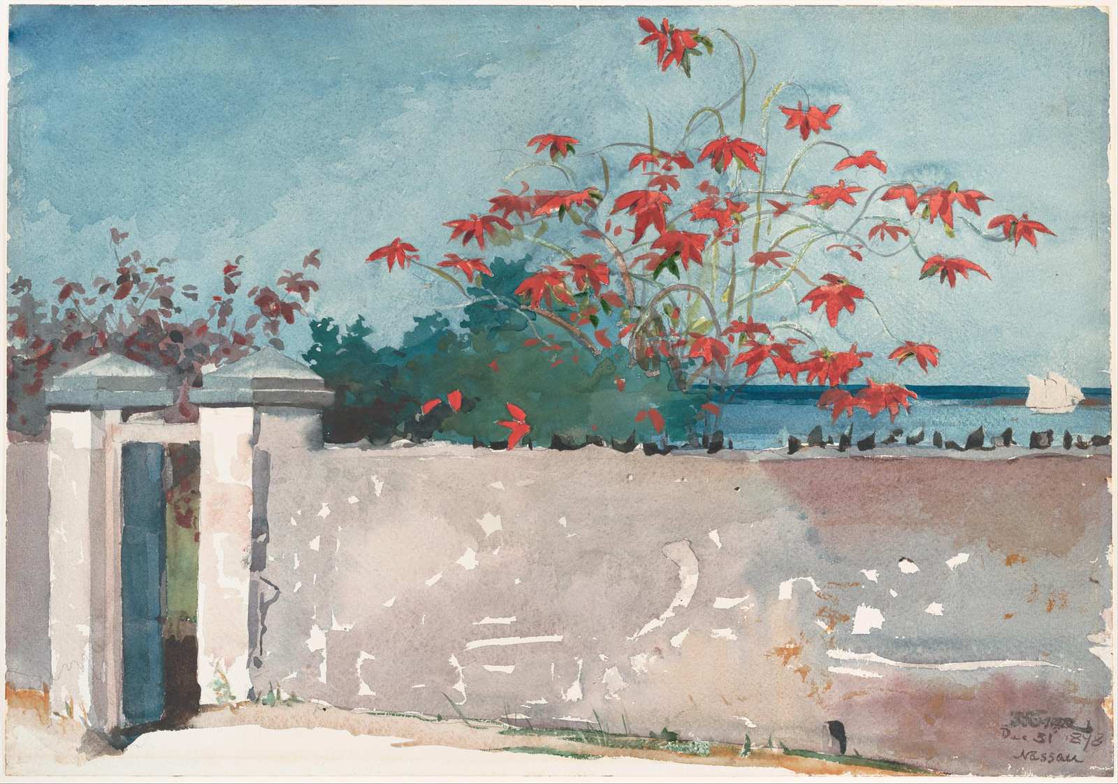 Vibrant Red Flowers Coastal Scene Wall Art