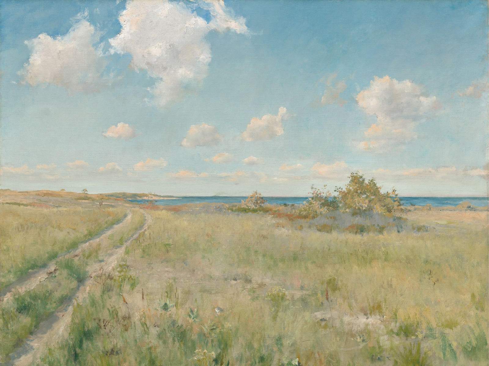 Serene Coastal Landscape Path Wall Art