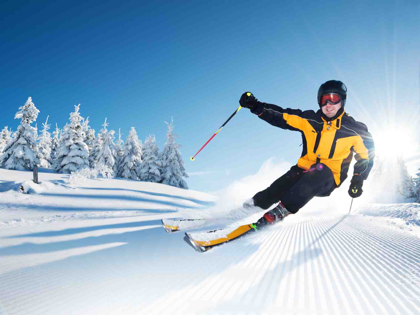 Action Snow Skiing Thrill Wall Art