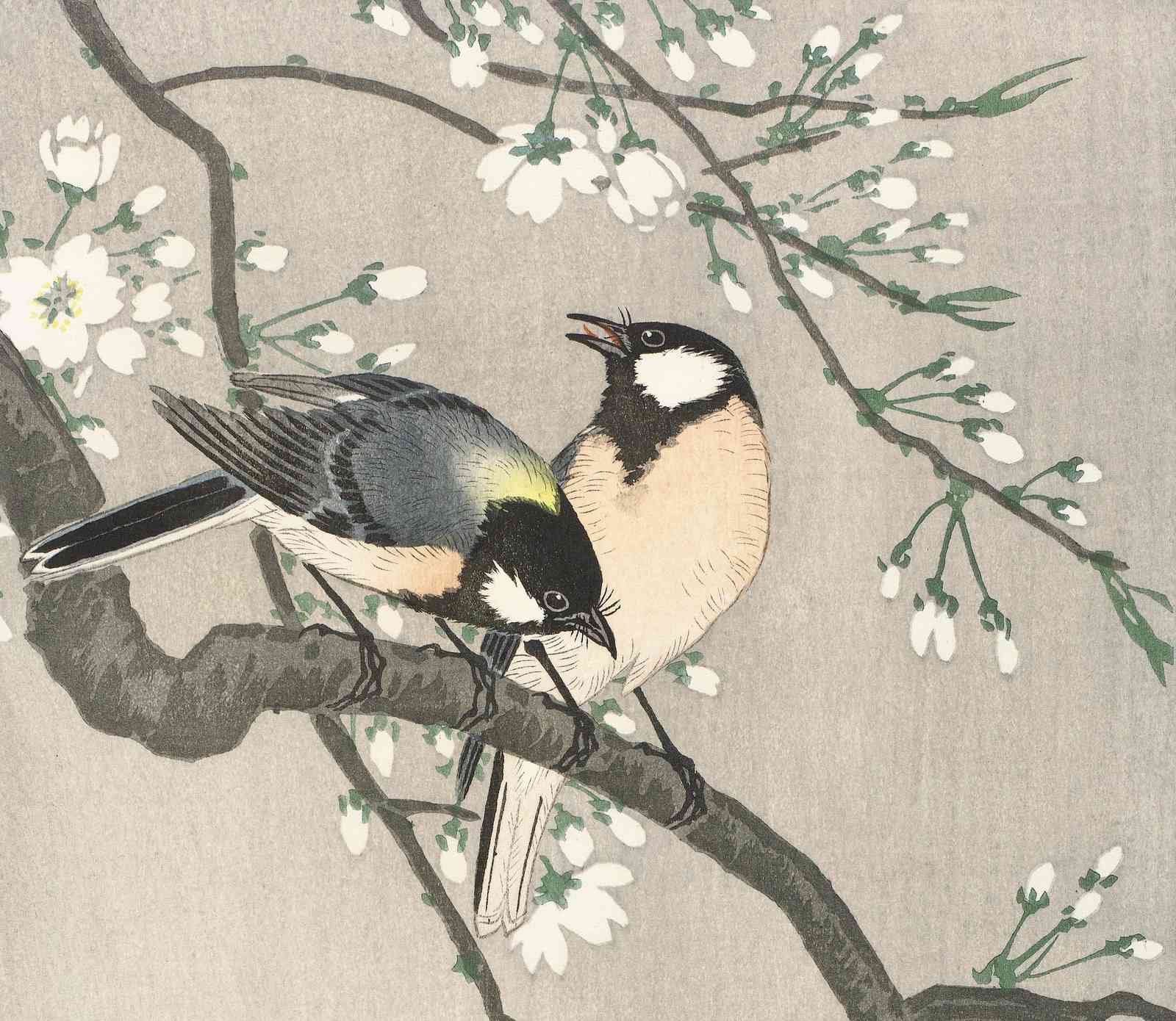 Charming Birds on Cherry Blossom Wall Art