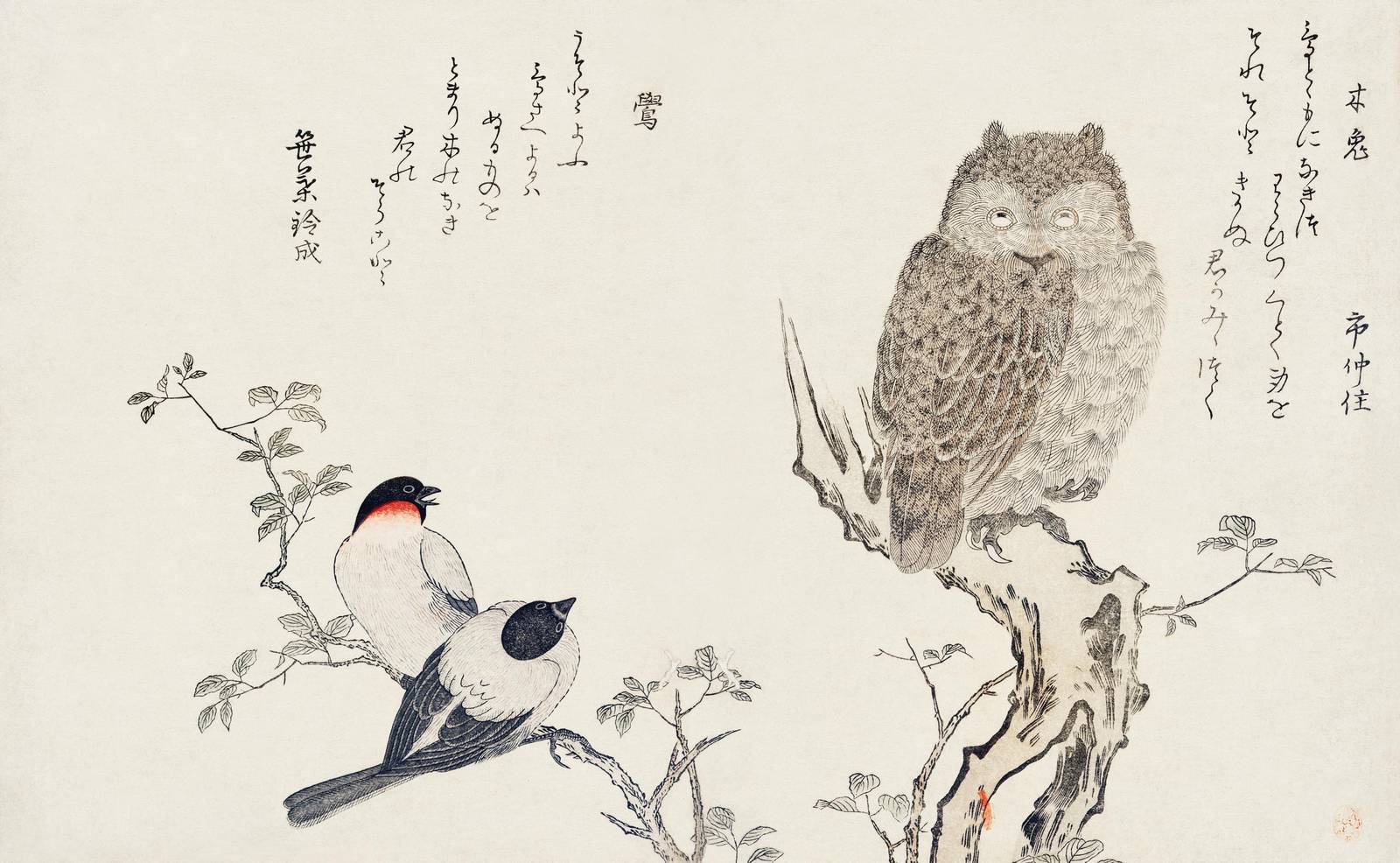 Vintage Owl & Birds Japanese Art Wall Art