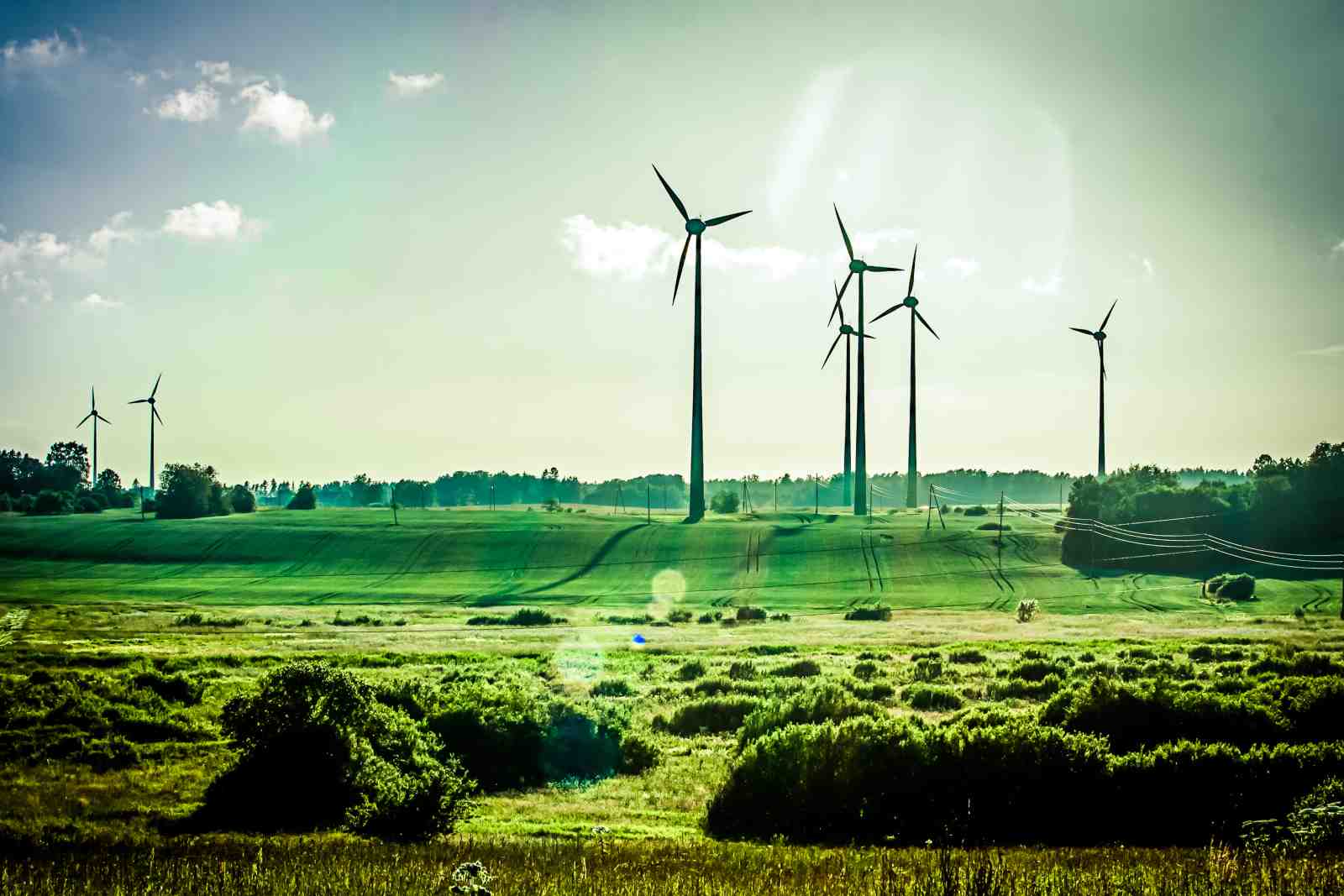Wind Turbine Landscape Wall Art
