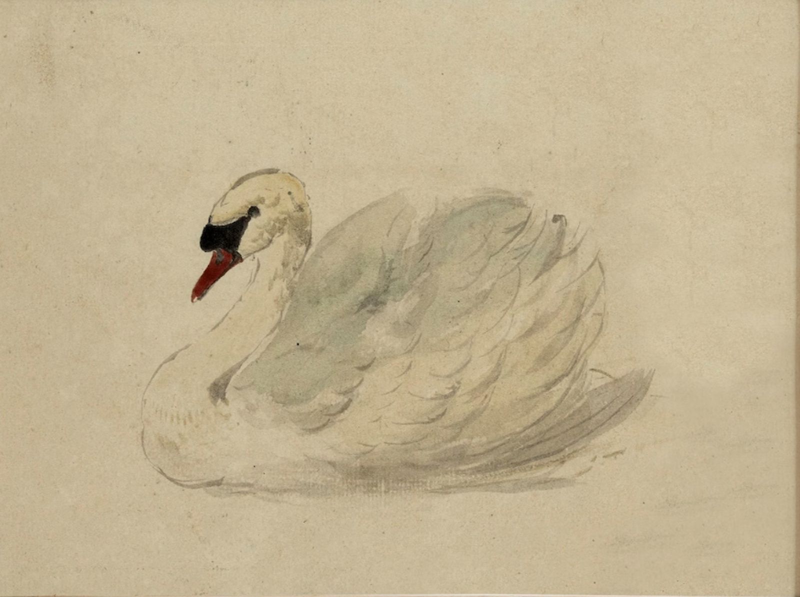 Elegant Swan Serenity Watercolor Wall Art