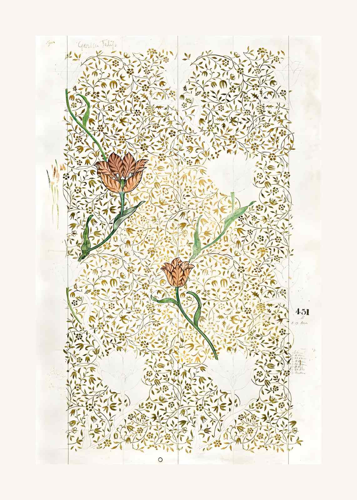 Gothic Tulip Botanical Art Wall Art